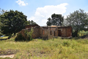 DSC-0035
