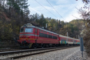 IMG-1476