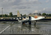 368 ShAP Su-25BM 09 Red (cn 25508110521) Finow (Eberswalde-Finow)_June 92