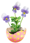0-1c00f0-5f1e86ba-orig
