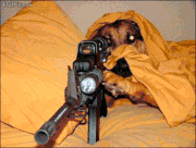 [Image: Laser-Dot-Kitty-Sniper.gif]