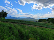 IMG-20210518-171518