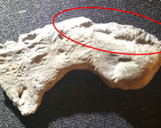 Kuva