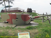 IMG-3616