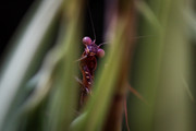 IMG-1392