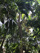 IMG-8875