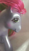 IMG-20211107-184110