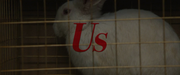 Us-2019-720p-WEB-DL-x264-AAC-www-300mbunited-me-sc-Orp-mkv-20190