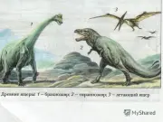 https://i.postimg.cc/68nmfZp5/i.webp