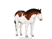 56681BCF-69A5-4289-B1D7-4012B9E2CC31