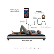 Haptic-PEMF-Diagram-AMP