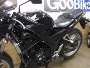 i-img1200x900-1542962635whwkxn549022