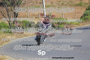 IMG-2390