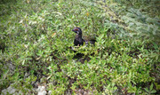 IMG-20150819-145758