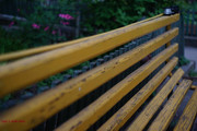DSC00459