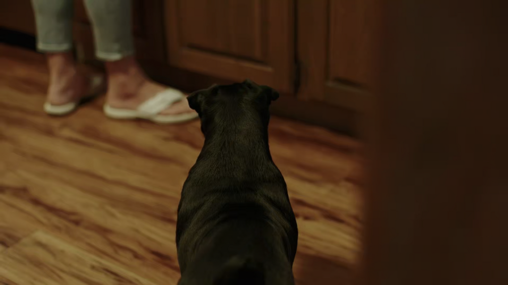 [Image: 10fl1cijt4id.png]