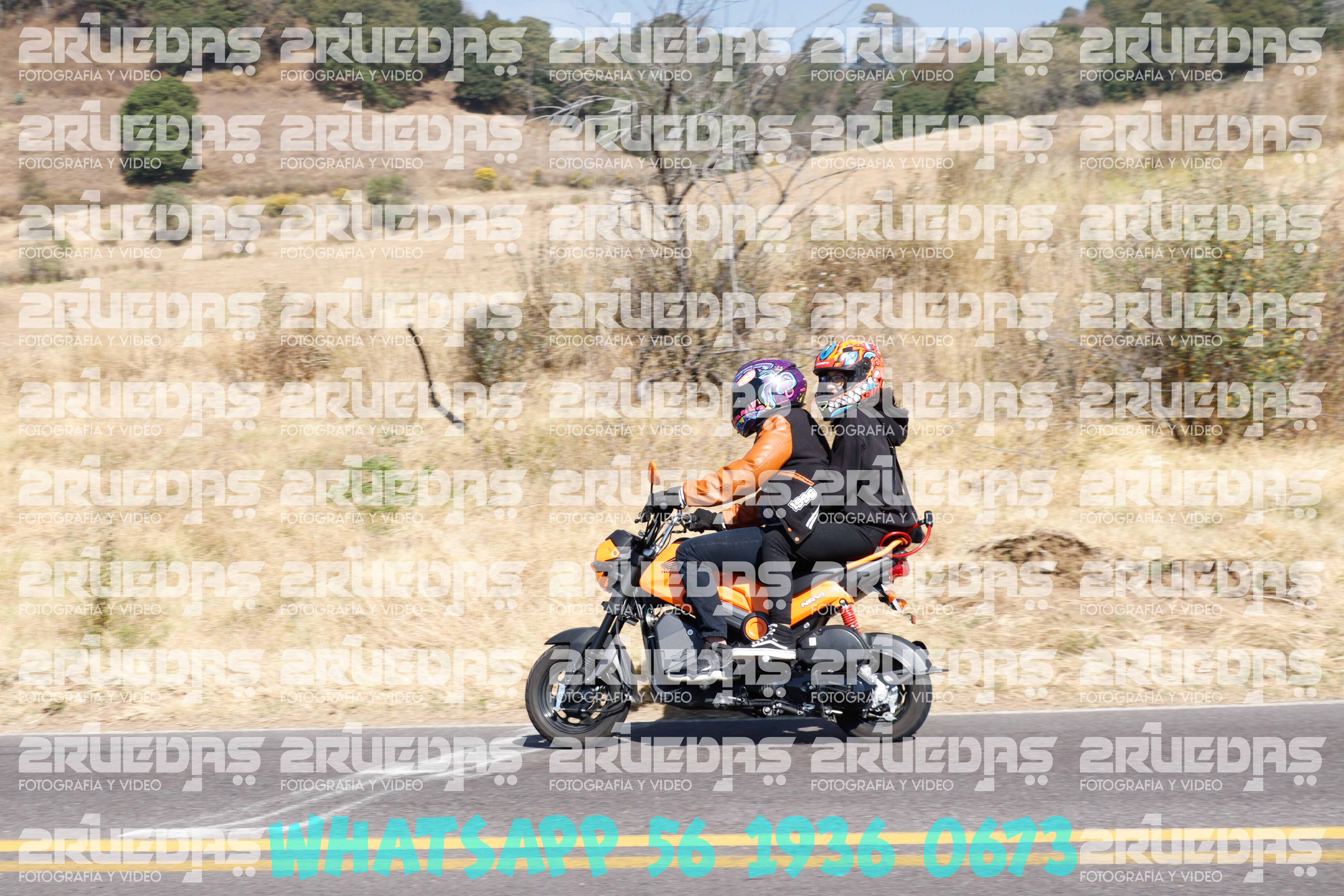 MG 0233 — Postimages