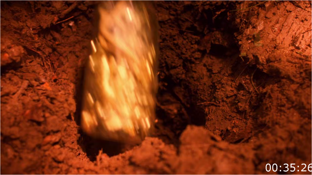 [Image: nr11ltl3zo9u.png]