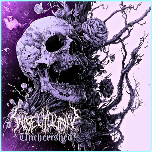 [Image: 1x1tun0npux9.png]