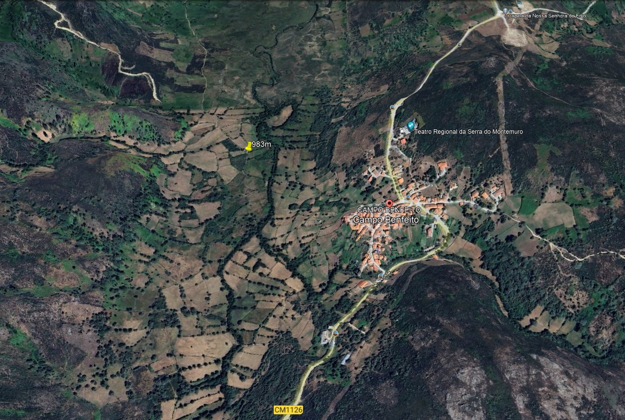 campo.jpg