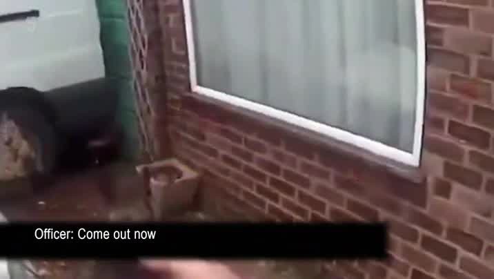 [Image: eo40f4ujec2o.jpg]