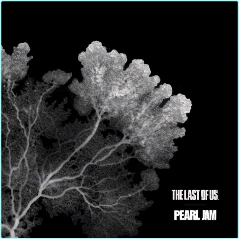 [Image: 9138tefgpgdc.png]