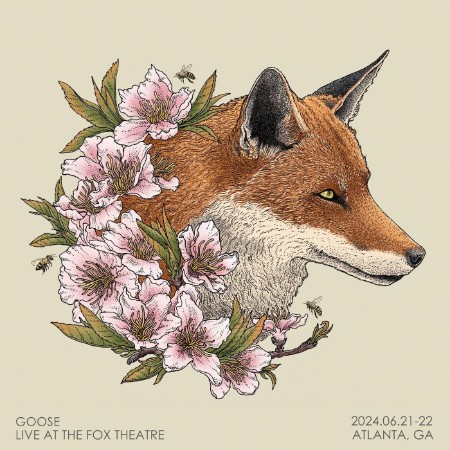 Goose - Live at The Fox Theatre (2024)