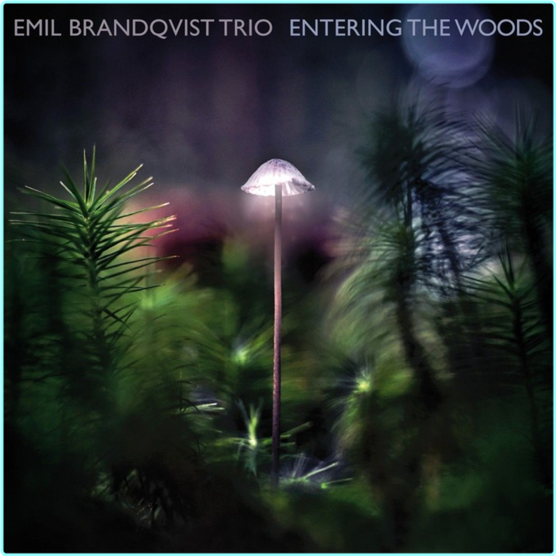 [Image: 4szqursan073.png]