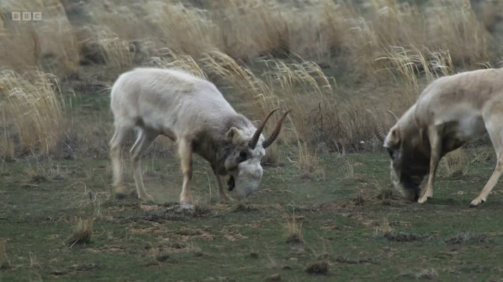 [Image: ep79zs6sfh5e.jpg]