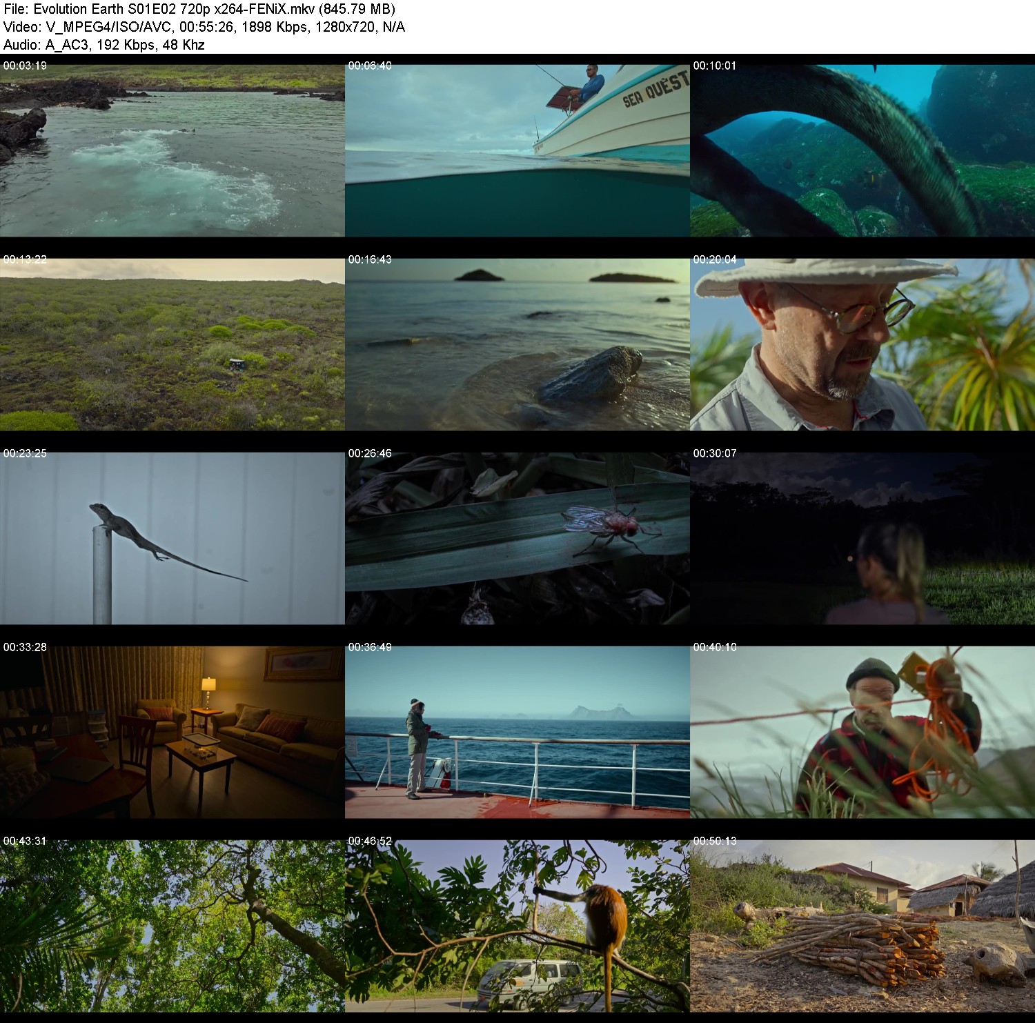 [Image: s9wgtcnf00b6.jpg]