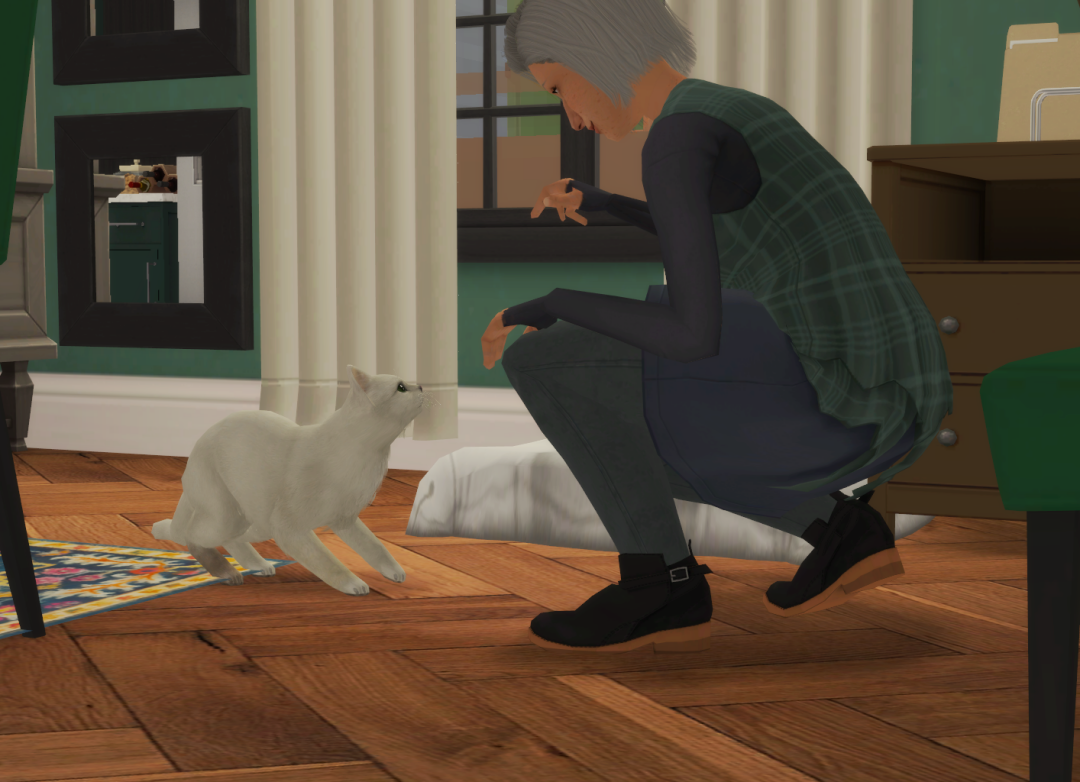 Sims2-EP9-RPC-2024-08-19-20-03-30-94