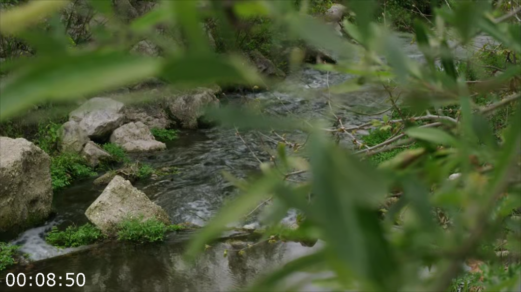 [Image: g59a4vm7ygal.png]