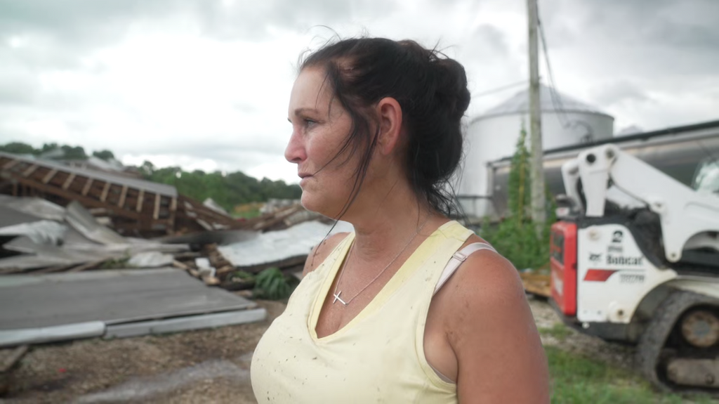 [Image: gb2zy43lwtd5.png]