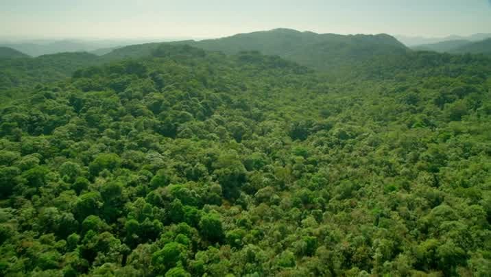 [Image: hs56siznmi26.jpg]