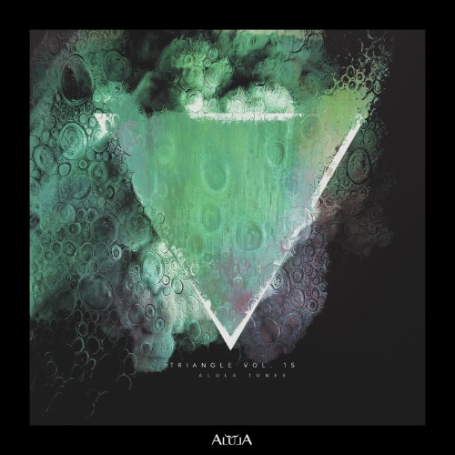 Muttiah Ashnim - Triangle, Vol. 15 (2026) MP3