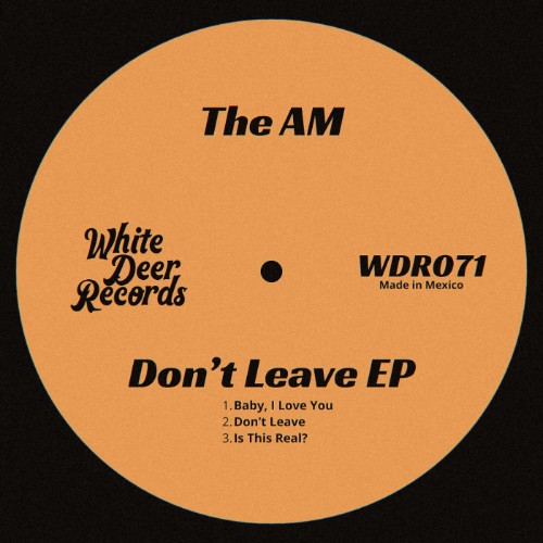 The AM - Don't Leave EP (2026)