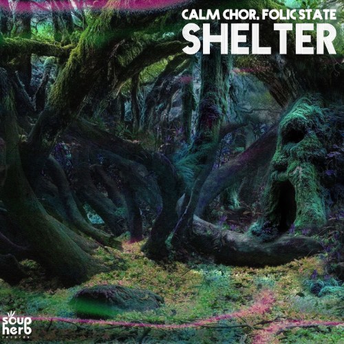 Calm Chor, Folic State - Shelter (2026)