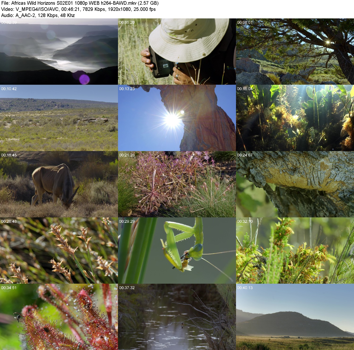 [Image: 4tg51hb5kqmf.jpg]