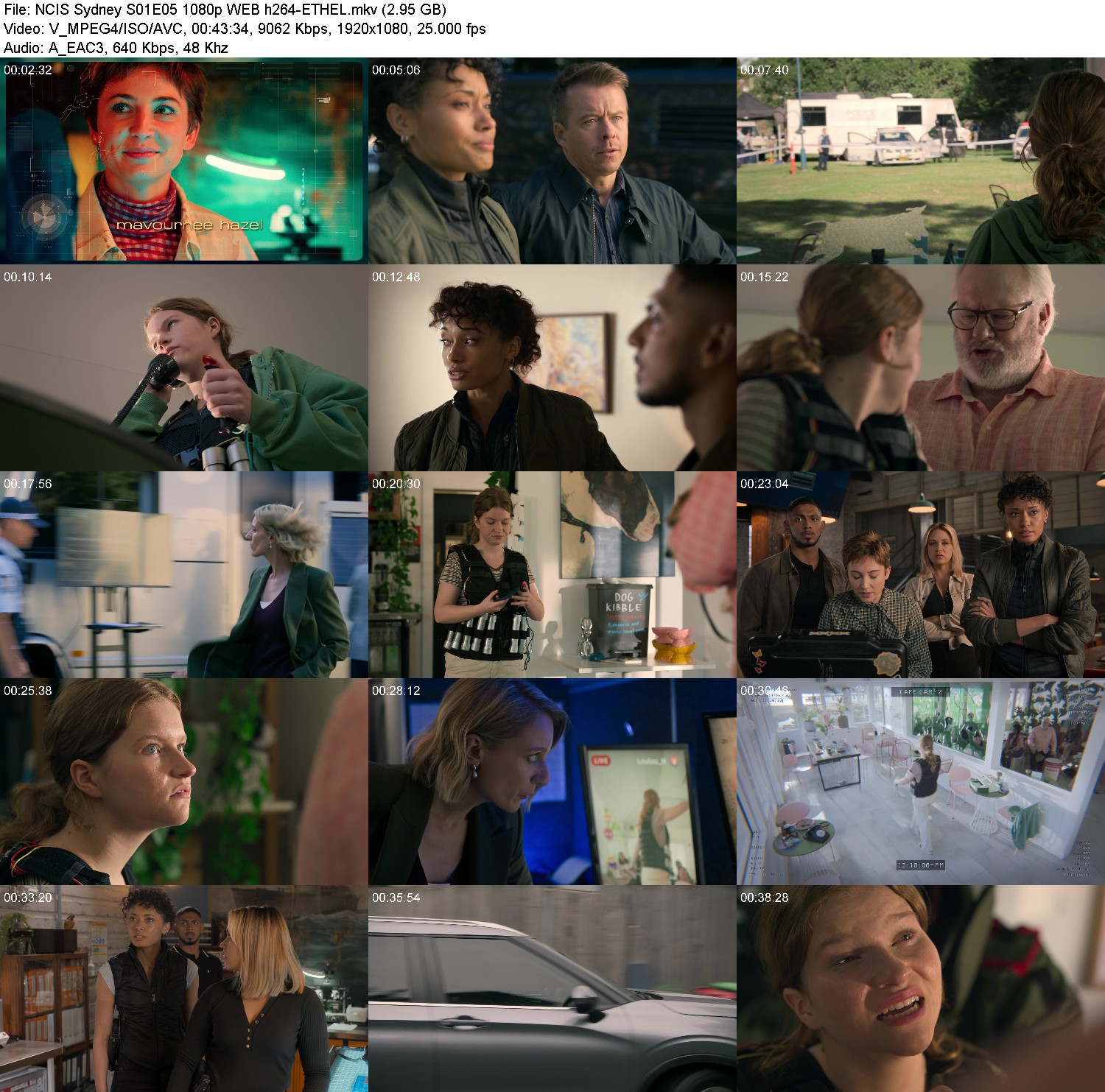 [Image: sahpk17y3q0s.jpg]