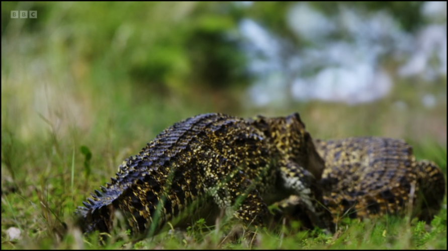 [Image: 25f4nlanbwo3.png]