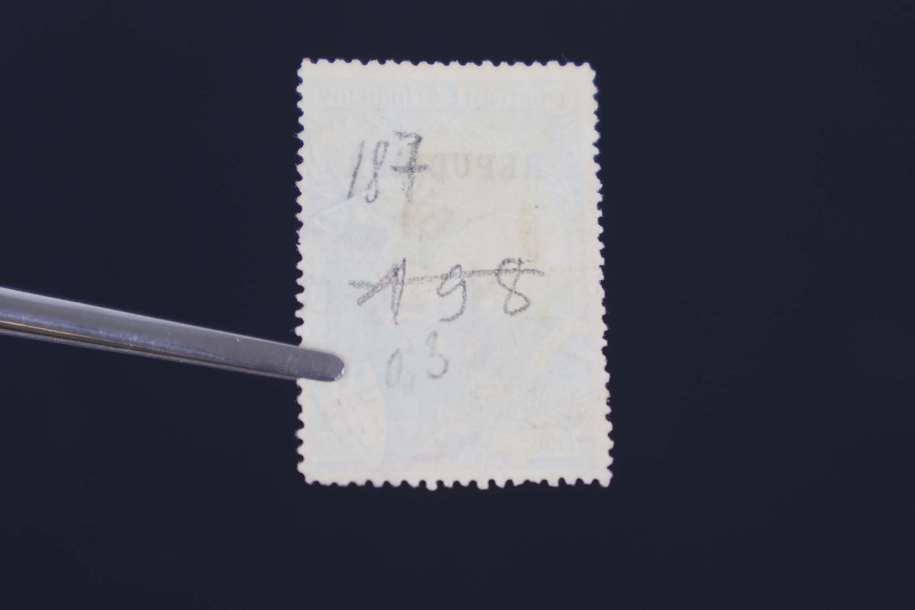 IMG-6456-1-(6)