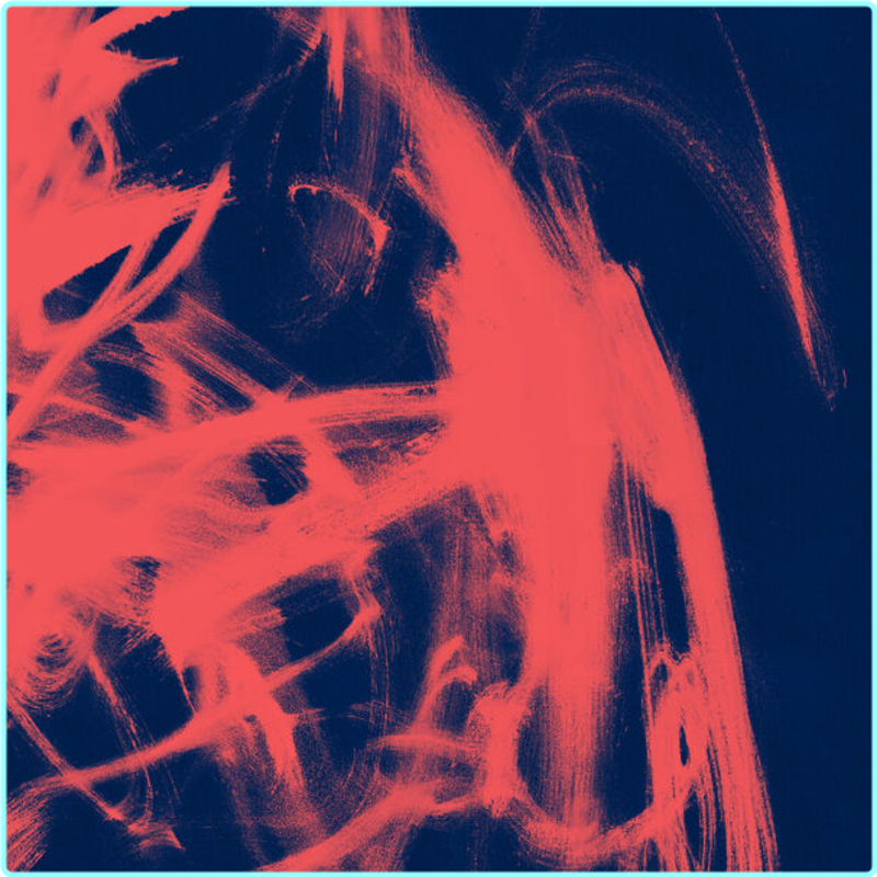 [Image: 8x790shypapb.png]