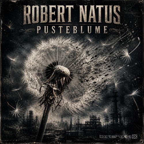 Robert Natus - Pusteblume (2026) MP3
