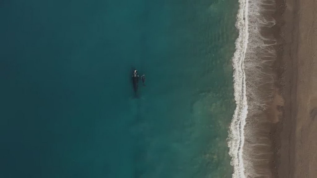 [Image: t5zv2k7dbhx0.jpg]