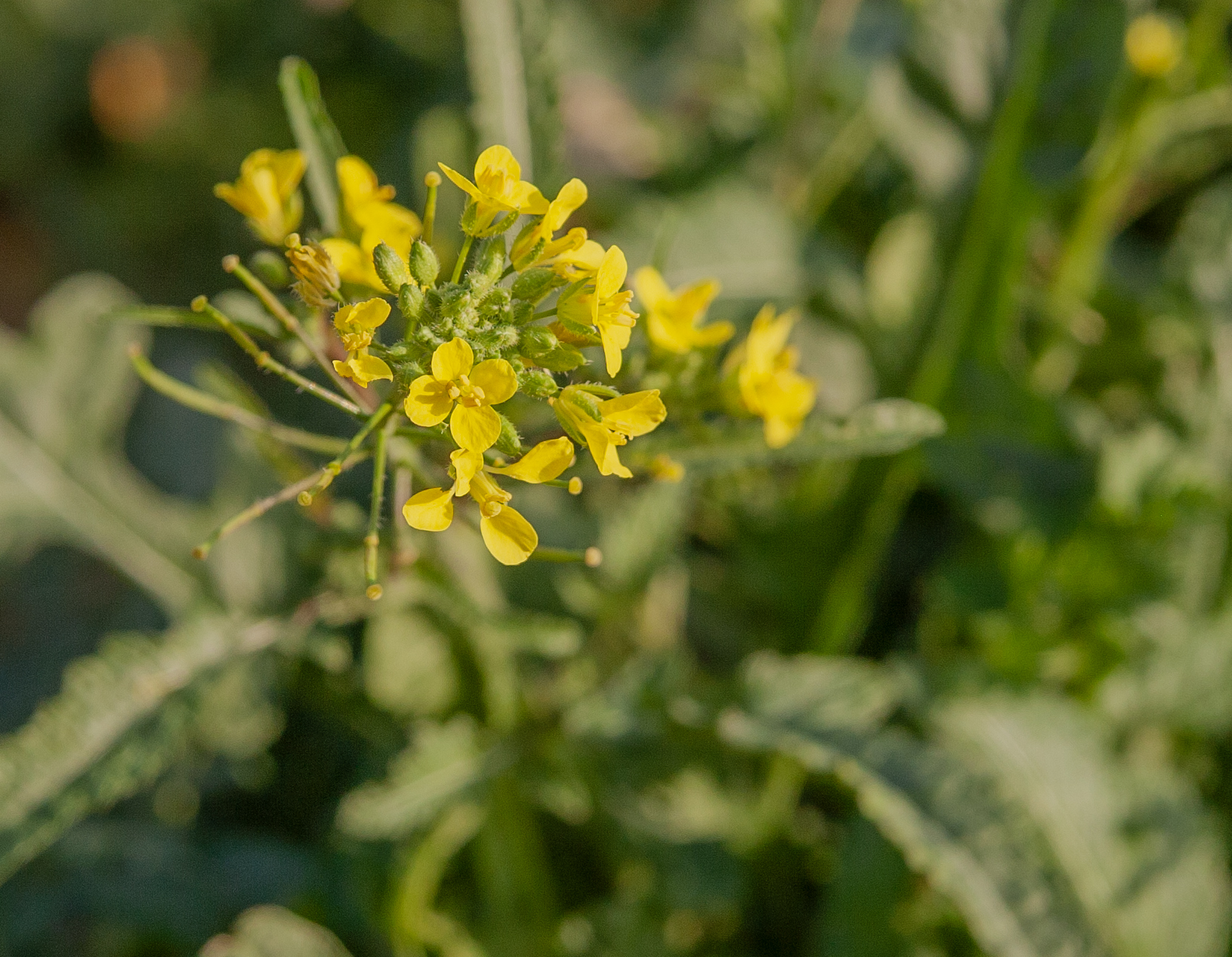MG 6541 ok — Postimages