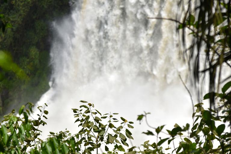 В джазе только девушки или аргентинско-бразильский калейдоскоп В джазе только девушки или аргентинско-бразильский калейдоскоп
