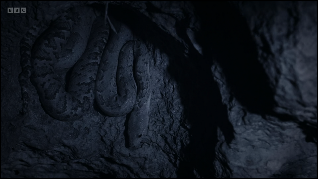 [Image: 2gz1s9wvsa0n.png]