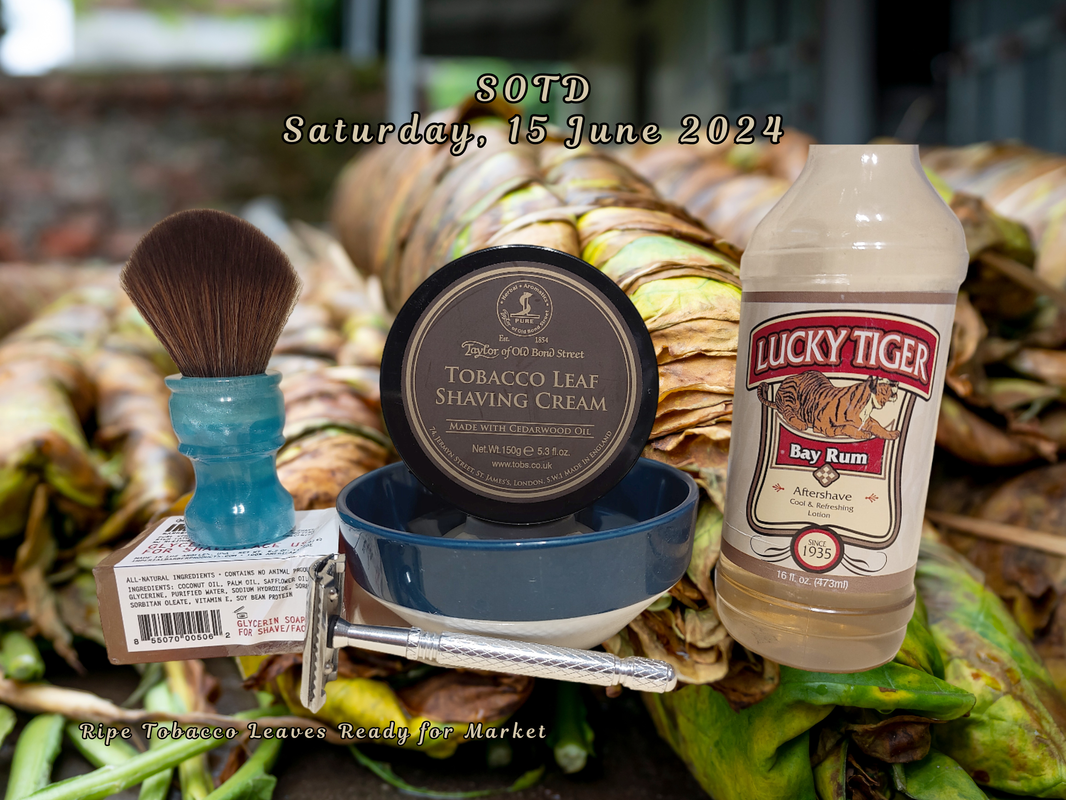 SOTD-20240615-setup.png