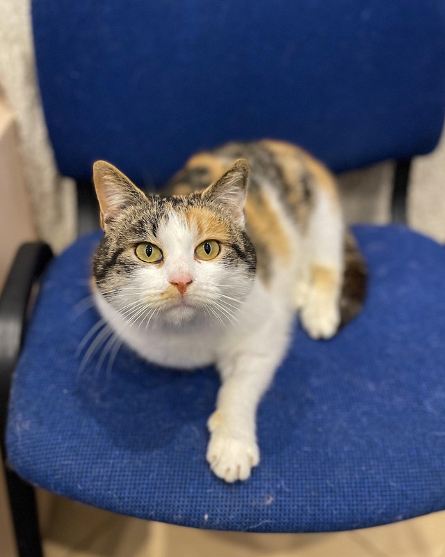 604AAB5A-5A1C-4790-8824-C2FB601EB800