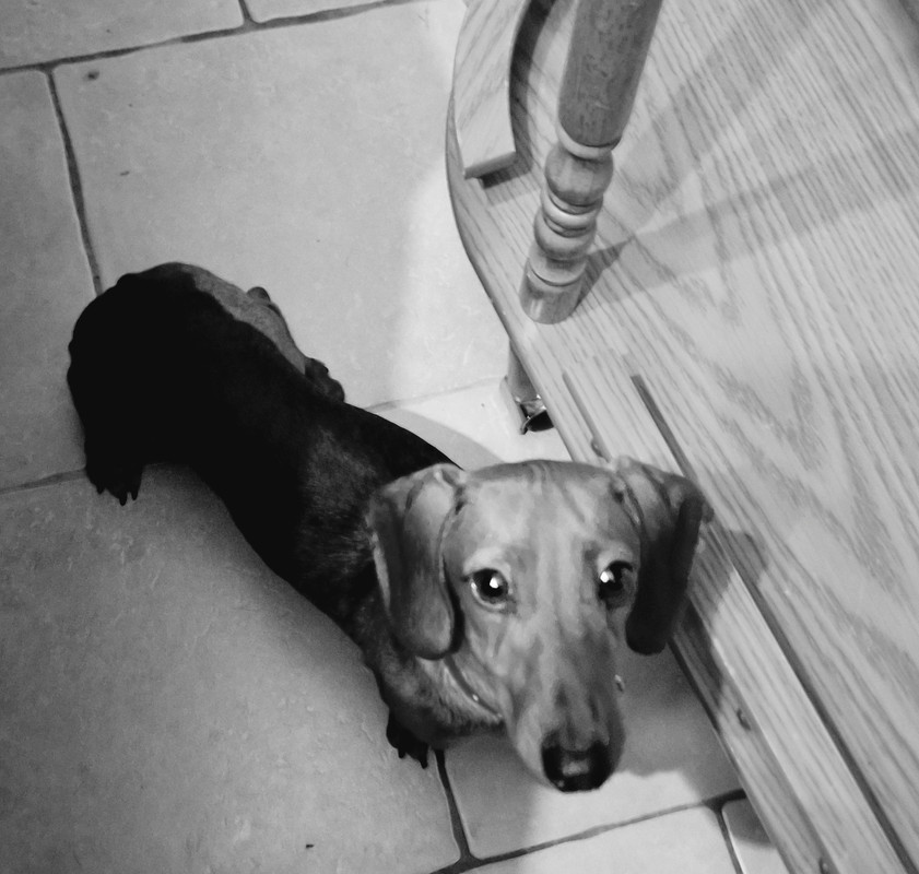 [Image: 20250512-202721.jpg]